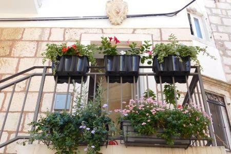 Apartment Punat Korcula Town Exterior photo